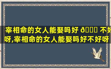 宰相命的女人能娶吗好 🐞 不好呀,宰相命的女人能娶吗好不好呀*